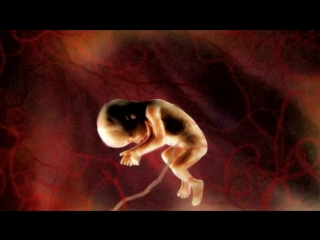 placenta / placenta (2006 joaquin baldwin) hd